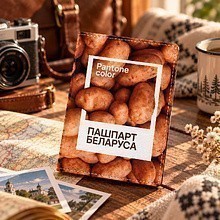 Обложка для паспорта "Pantone", натуральная кожа, разноцветный