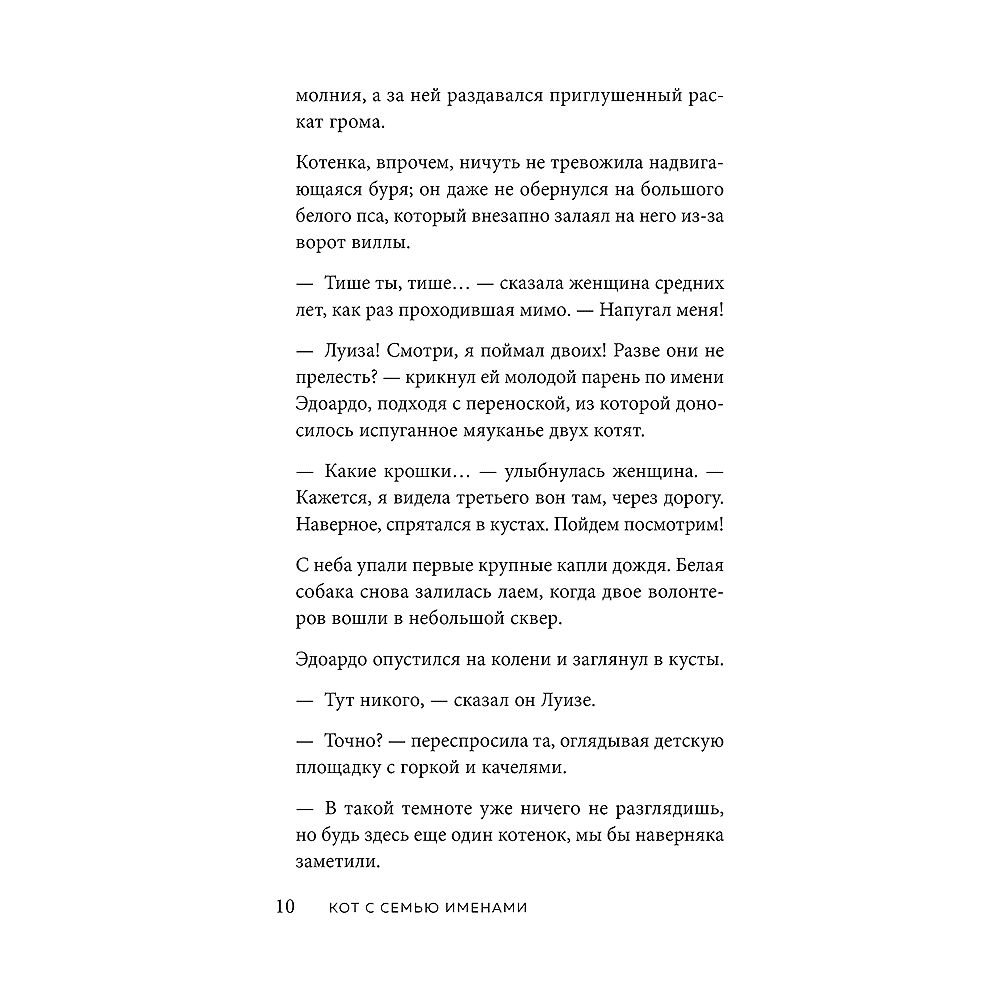 Книга "Кот с семью именами. Счастье приходит к тому, кто верит в чудеса", Федерико Сантаити - 6