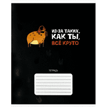 Тетрадь "Герои с характером", А5, 24 листа, клетка, ассорти