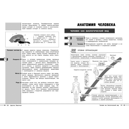 Книга "Наглядный справочник. Биология", Оксана Мазур - 6