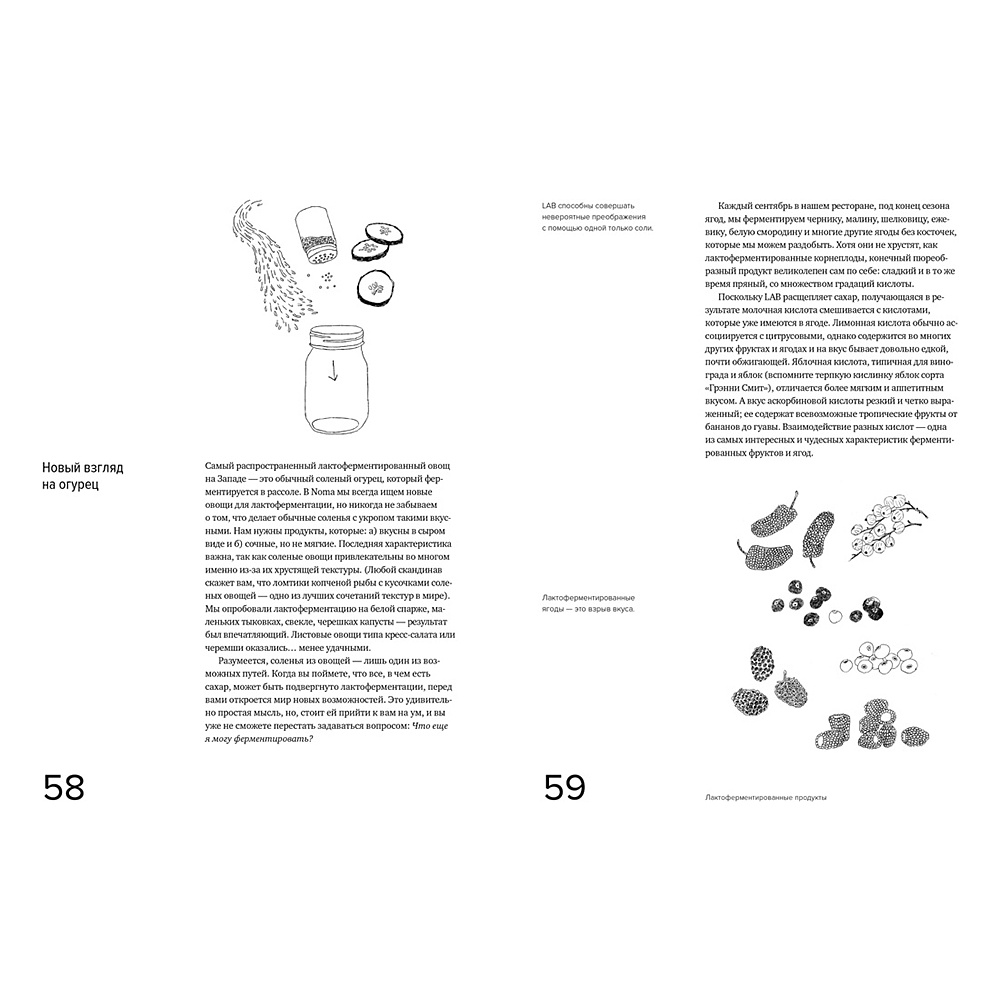 Книга "Гид по ферментации от Noma", Рене Редзепи, Дэвид Зильбер - 3