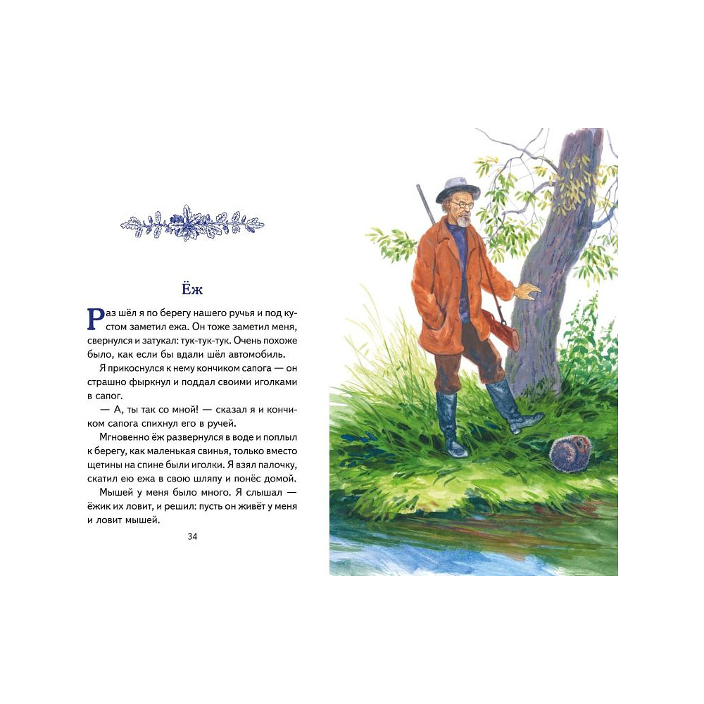 Книга "Книги для внеклассного чтения. Рассказы о природе (ил. С. Ярового)", Михаил Пришвин - 4