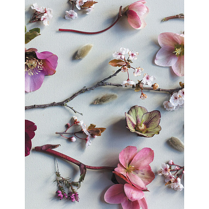 Книга "Искусство цветочного дизайна. Принципы флористического стиля", Кристин Гил - 8