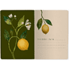 Тетрадь  "Flora. Paradise. Lemons", A5, 40 листов, линейка, белый, желтый - 2