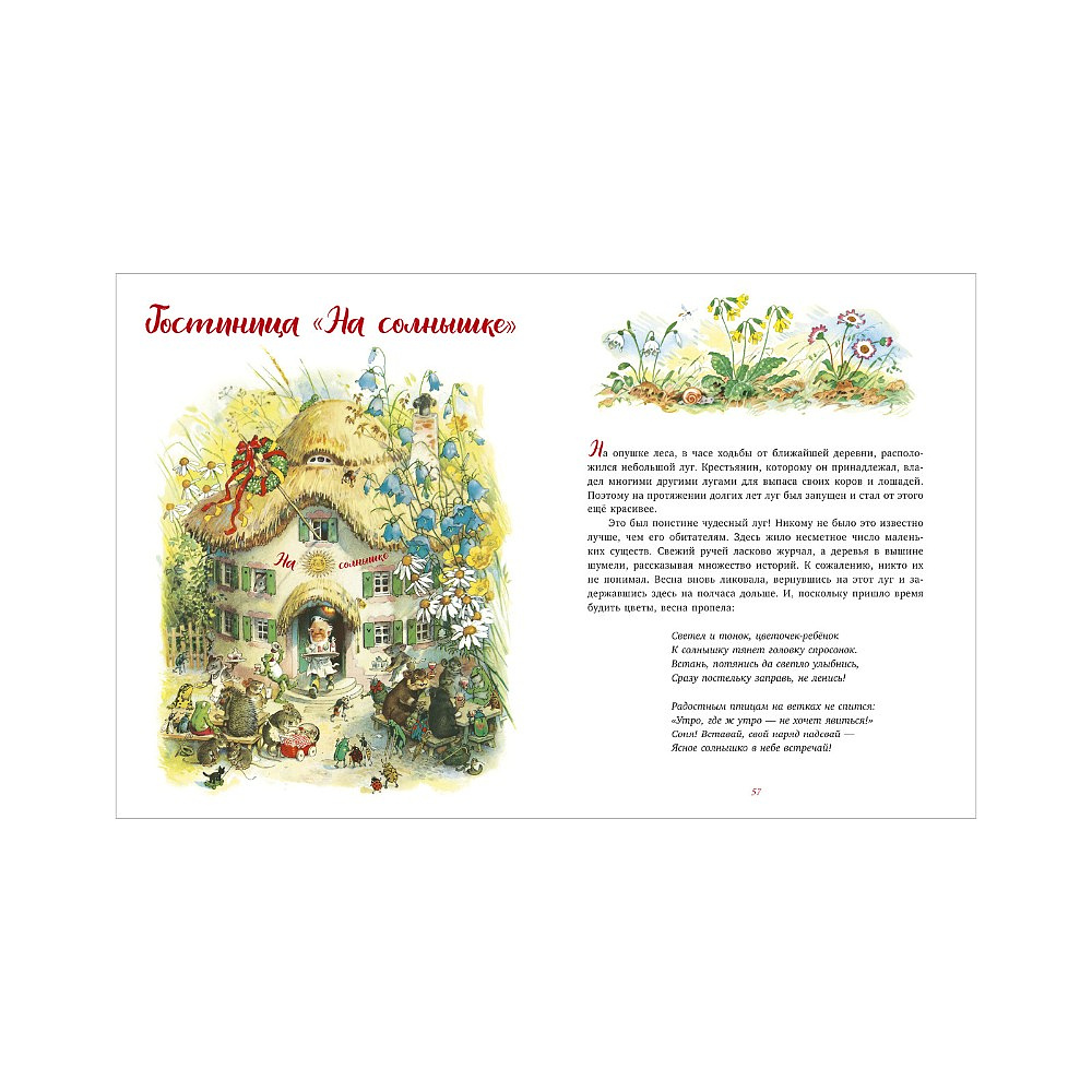 Книга "В гостях у гномов и другие истории", Эрих Хайнеманн - 5