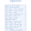 Книга "Гримм и Пёрышко. Весна, лето, осень и зеброслик", Шнайдер Ш. - 2