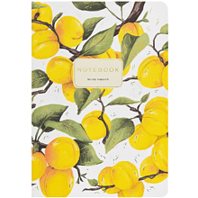 Тетрадь "Flora. Paradise. Абрикосы", A5, 40 листов, клетка, белый, желтый