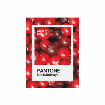 Блокнот «Color of Belarus. Pantone Ikra balotnaya», А5, 128 листов, в точку, белый, зеленый - 2