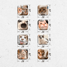 Набор наклеек объемных "Коты. Мемы", А6, 1 листов, 8 шт.