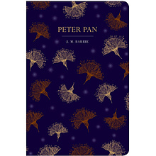 Книга на английском языке "Peter Pan", James Matthew Barrie