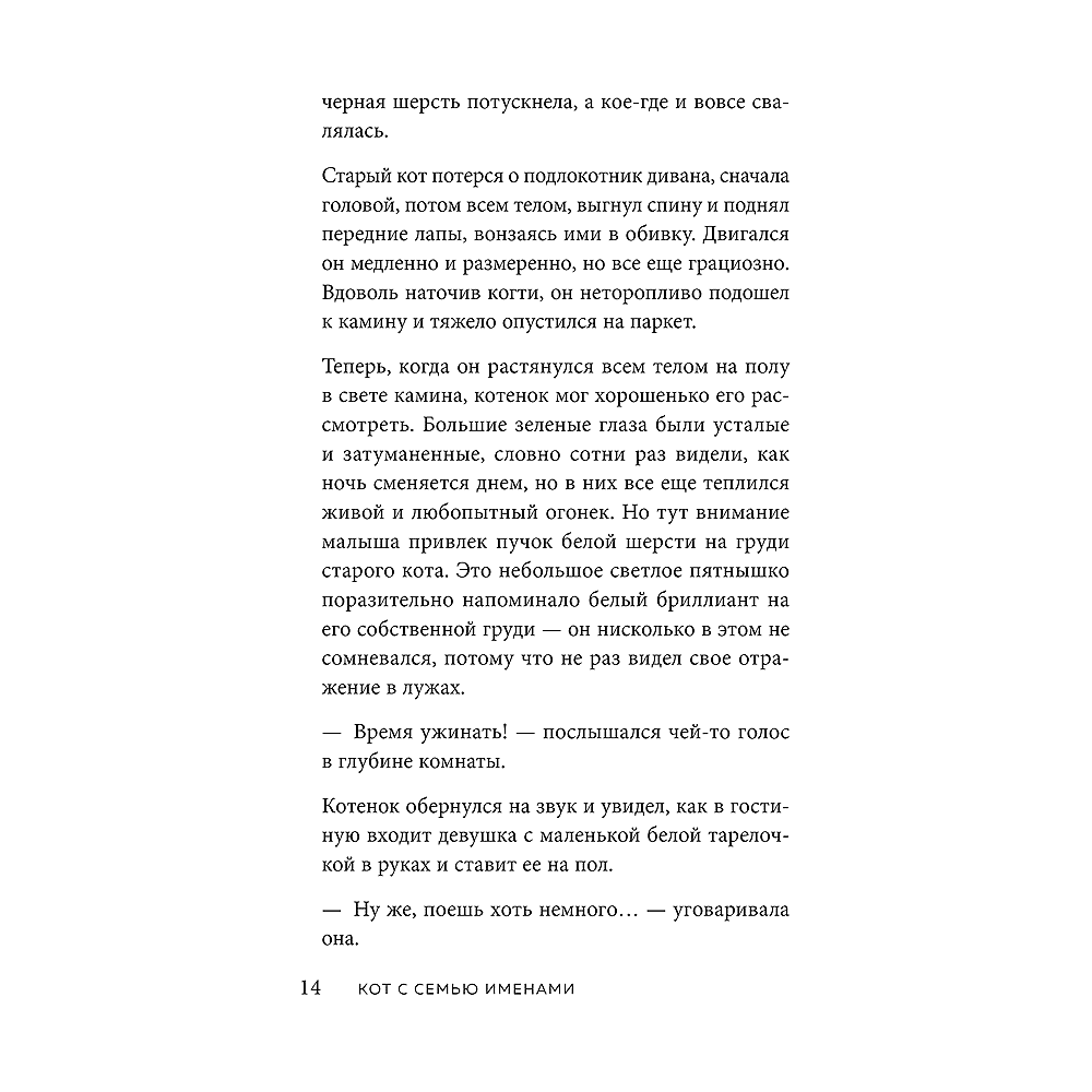 Книга "Кот с семью именами. Счастье приходит к тому, кто верит в чудеса", Федерико Сантаити - 10