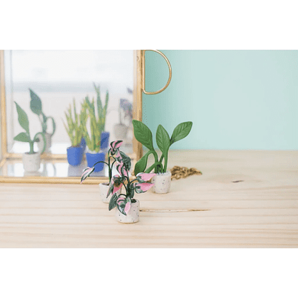 Полимерная глина "Cernit. Starter kit, tiny plants", набор - 3