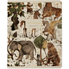Тетрадь "Fauna", A5, 48 листов, клетка, скоба сбоку, ассорти - 5