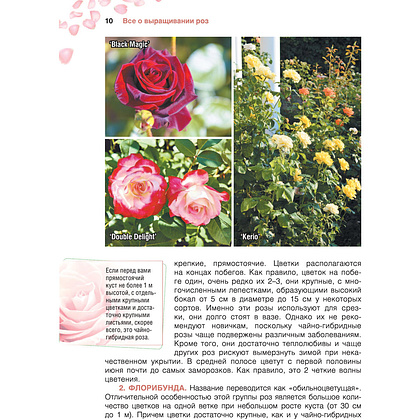 Книга "Сад любимых цветов с Ларисой Кочелаевой", Лариса Кочелаева - 9