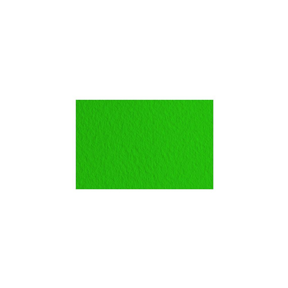 Бумага для пастели "Tiziano", 50x65 см, 160 г/м2, зеленый темный