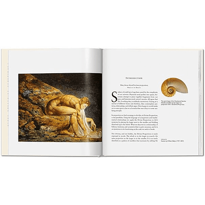 Книга на английском языке "The Secret Code. The Mysterious Formula That Rules Art, Nature, and Science", Priya Hemenway - 2