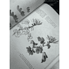 Книга "Основы японской живописи суми-э", Наталия Безвуляк - 4