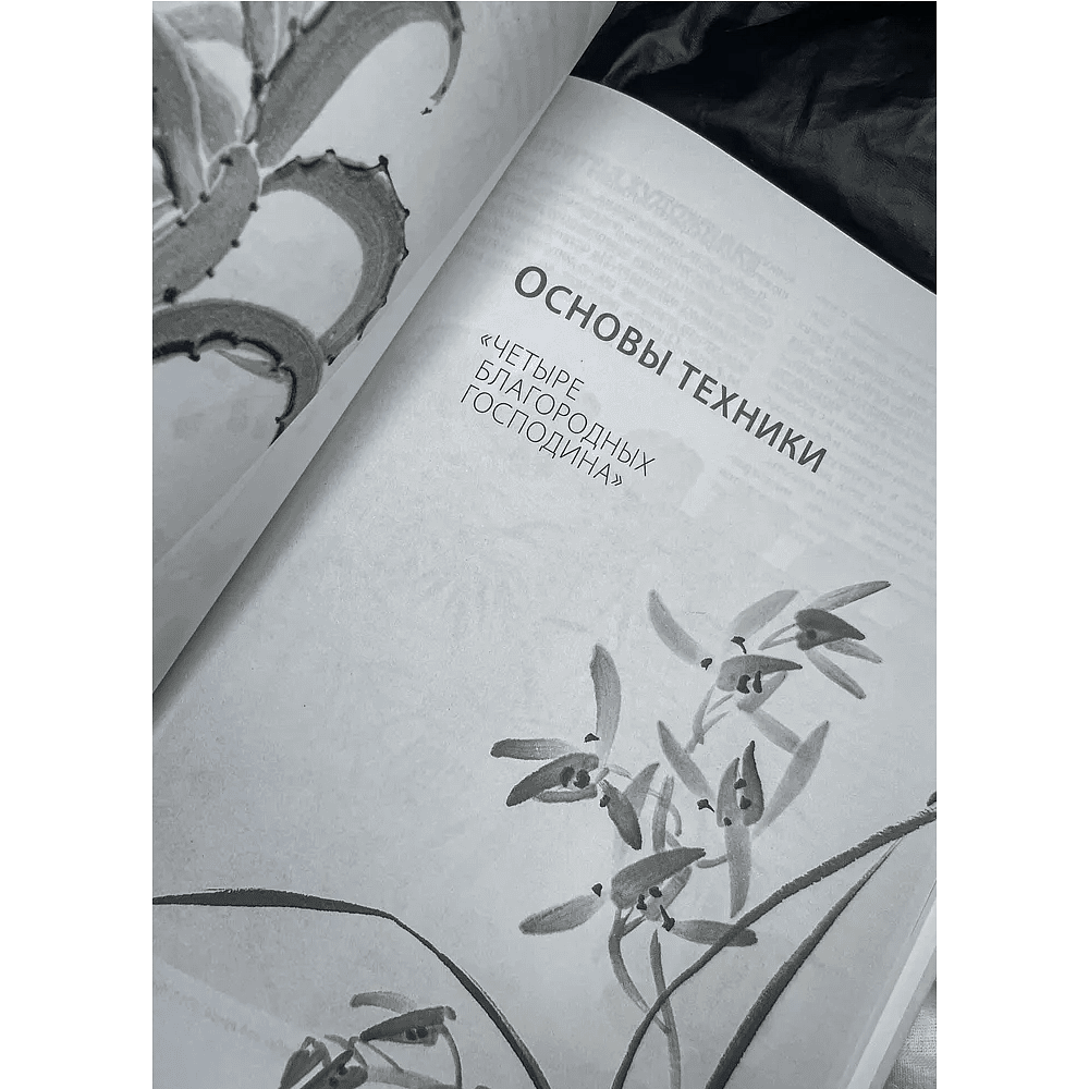 Книга "Основы японской живописи суми-э", Наталия Безвуляк - 2