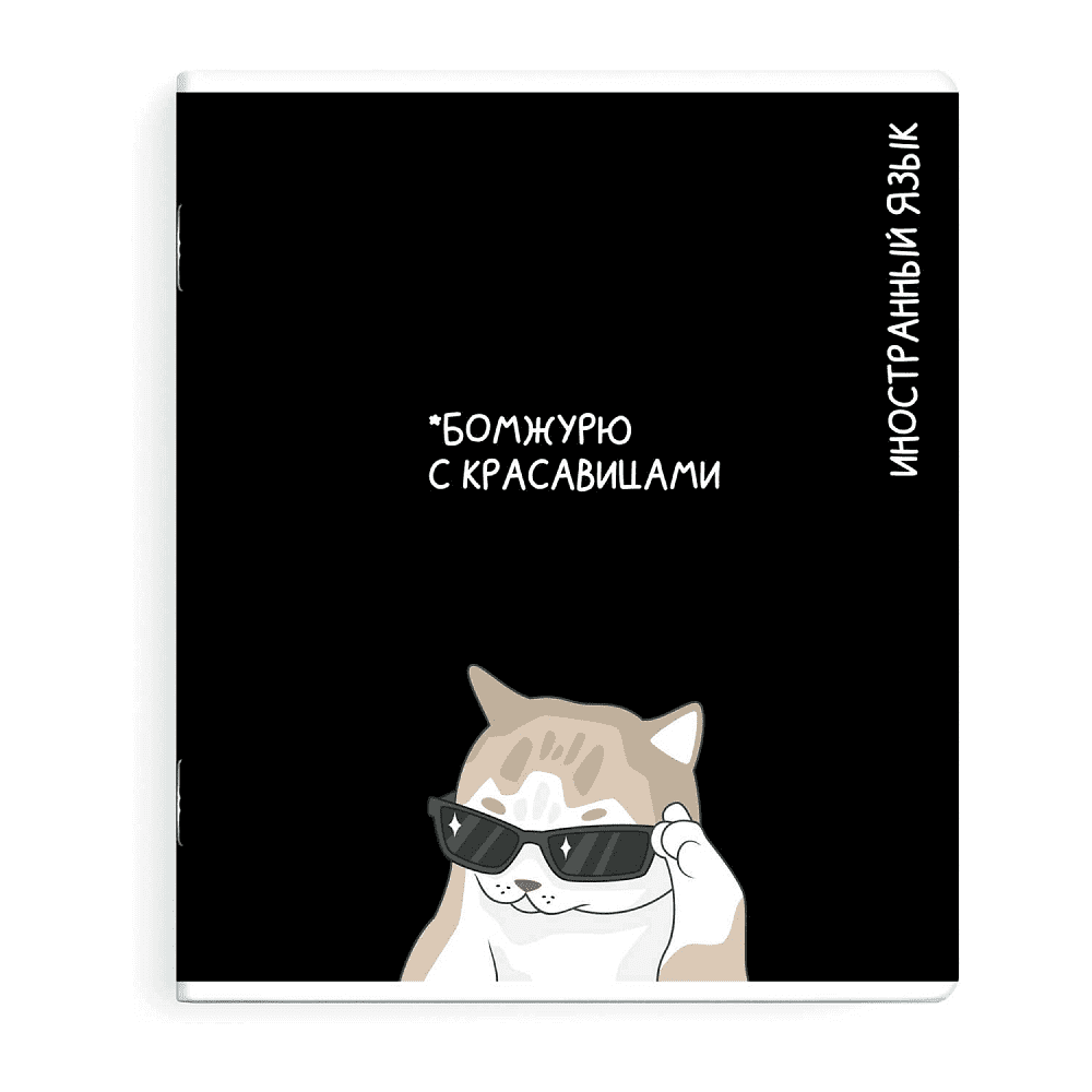Тетрадь предметная "Бомжурю с красавицами. Иностранный язык", А5, 48 листов, клетка, черный