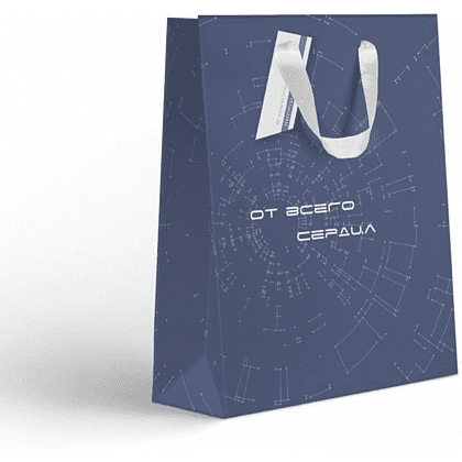Пакет бумажный подарочный "Гравитация", 25.5х31.5х11 см