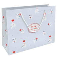 Пакет бумажный подарочный 