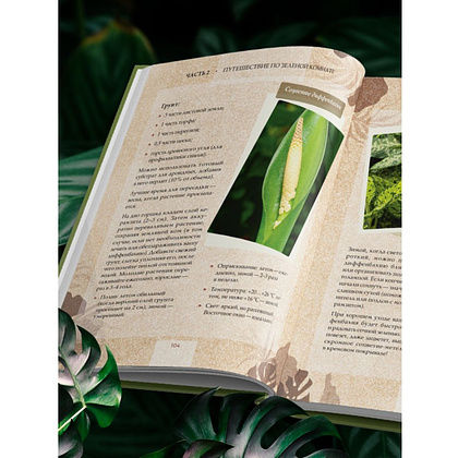 Книга "Зеленая комната. Как стать повелителем домашних джунглей", Илья Зеленов - 13