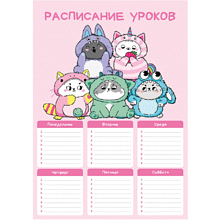 Расписание уроков "Котята в кигуруми", А4, розовый, белый