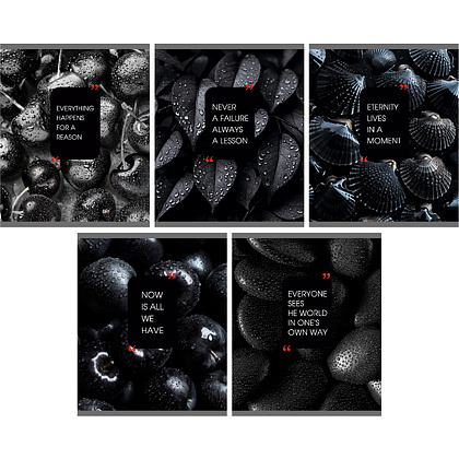 Тетрадь А5 "Natural Black" 48 листов, в клетку, ассорти