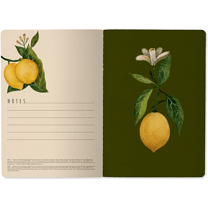 Тетрадь "Flora. Paradise. Lemons", A5, 40 листов, клетка, софт., белый, желтый - 5