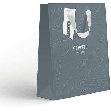 Пакет бумажный подарочный "Country MS", 18х22.7х10 см, ассорти - 2