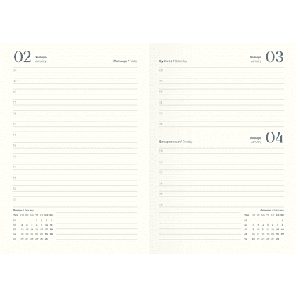 Ежедневник датированный "Spring" на 2026 год, А5, 352 страницы, серый - 2