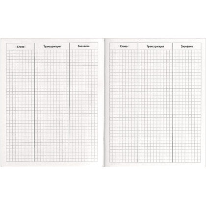 Тетрадь для записи иностранных слов  "Фразы с характером", А5, 48 листов, черный - 4