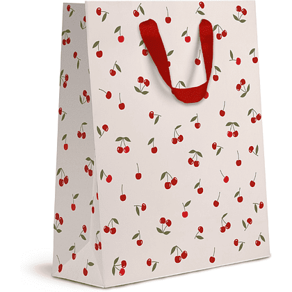 Пакет бумажный подарочный "Cherry Lady", 31х41х10 см, ассорти - 3