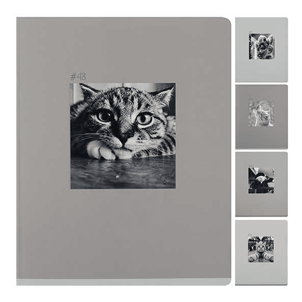 Тетрадь "Cat ART", А5, 48 листов, клетка, ассорти