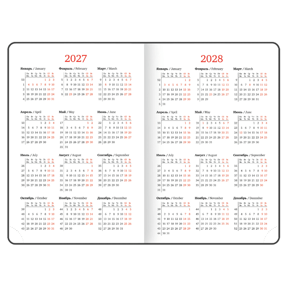 Ежедневник датированный "Plain" на 2027 год, А5, 352 страницы, черный  - 6
