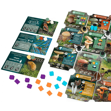 Игра настольная "Грибы и корни" - 2