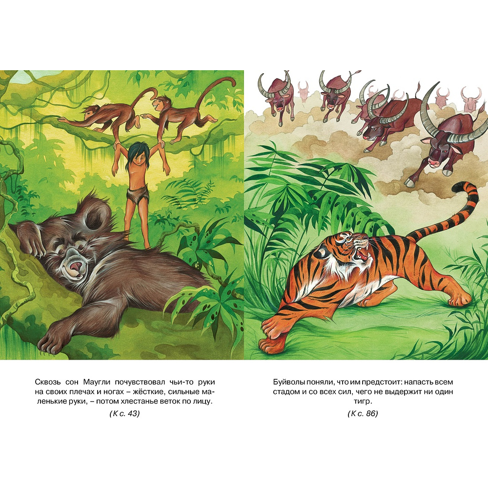Книга "Классная литература. Маугли", Редьярд Киплинг - 6