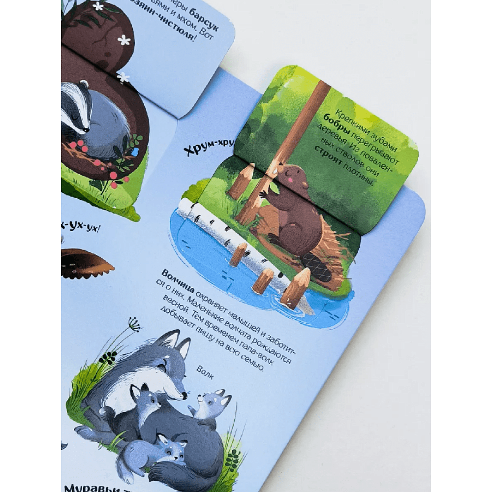 Книга "Книжка с окошками. Мир животных" - 7