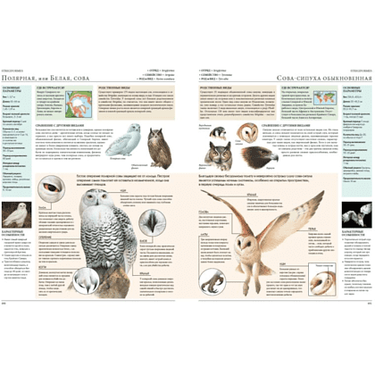 Книга "Животные мира. Моя большая энциклопедия" - 6