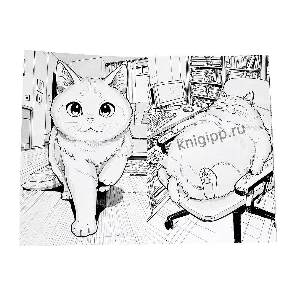 Раскраска "3D РАСКРАСКА. Котики" - 3