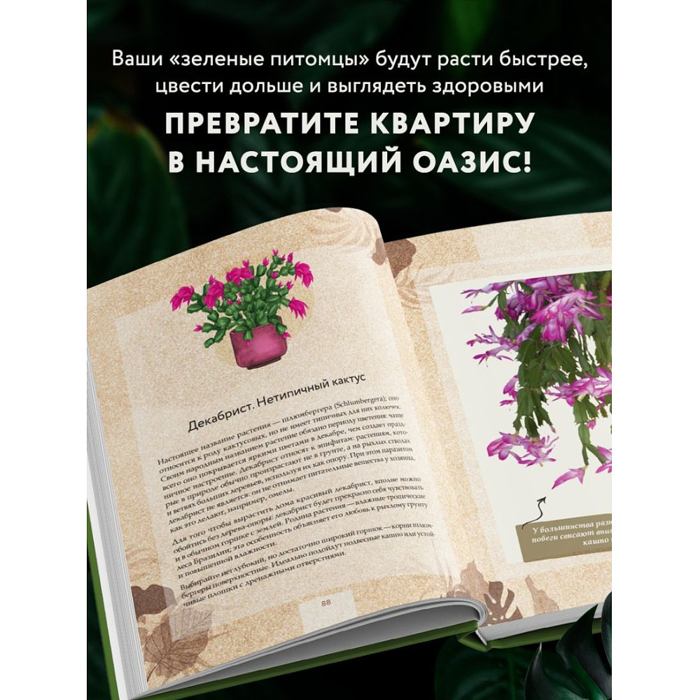 Книга "Зеленая комната. Как стать повелителем домашних джунглей", Илья Зеленов - 8