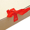 Папка для бумаг с завязками, 70 мм, 4 завязки, крафт - 4