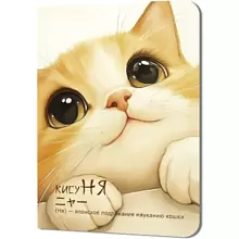 Блокнот "КисуНЯ. Котик смотрит вверх", 24 листа, в клетку