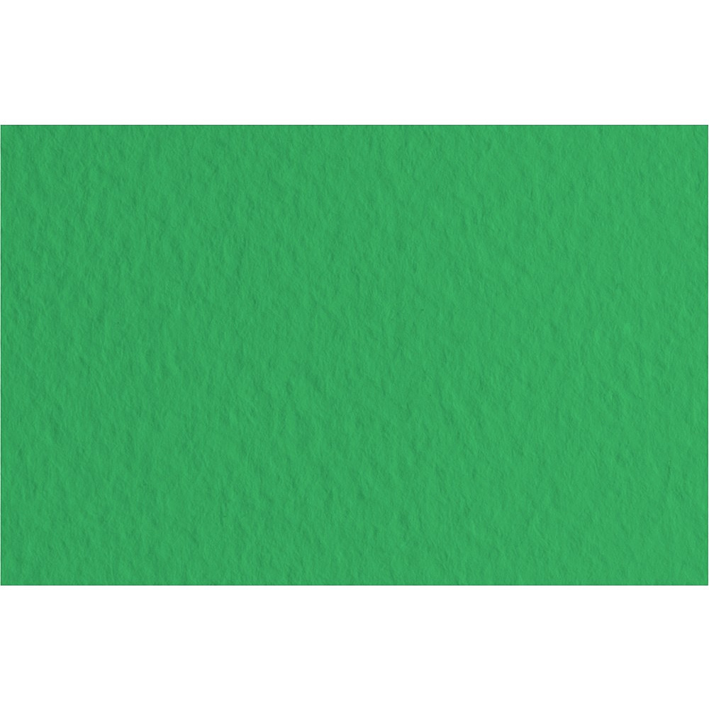 Бумага для пастели "Tiziano", 50х65 см, 160 г/м2, зеленый
