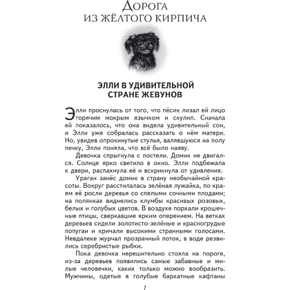 Книга "Книги для внеклассного чтения. Волшебник Изумрудного города", Александр Волков - 14
