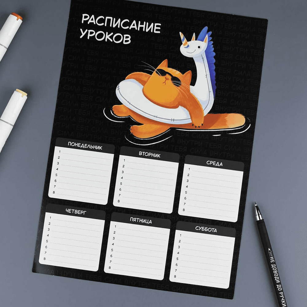 Расписание уроков "Суперкот", А4, черный, оранжевый - 2
