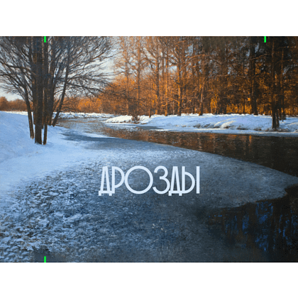 Кошелек "Дыхание весны”, Вадим Богдан, текстиль, разноцветный - 3