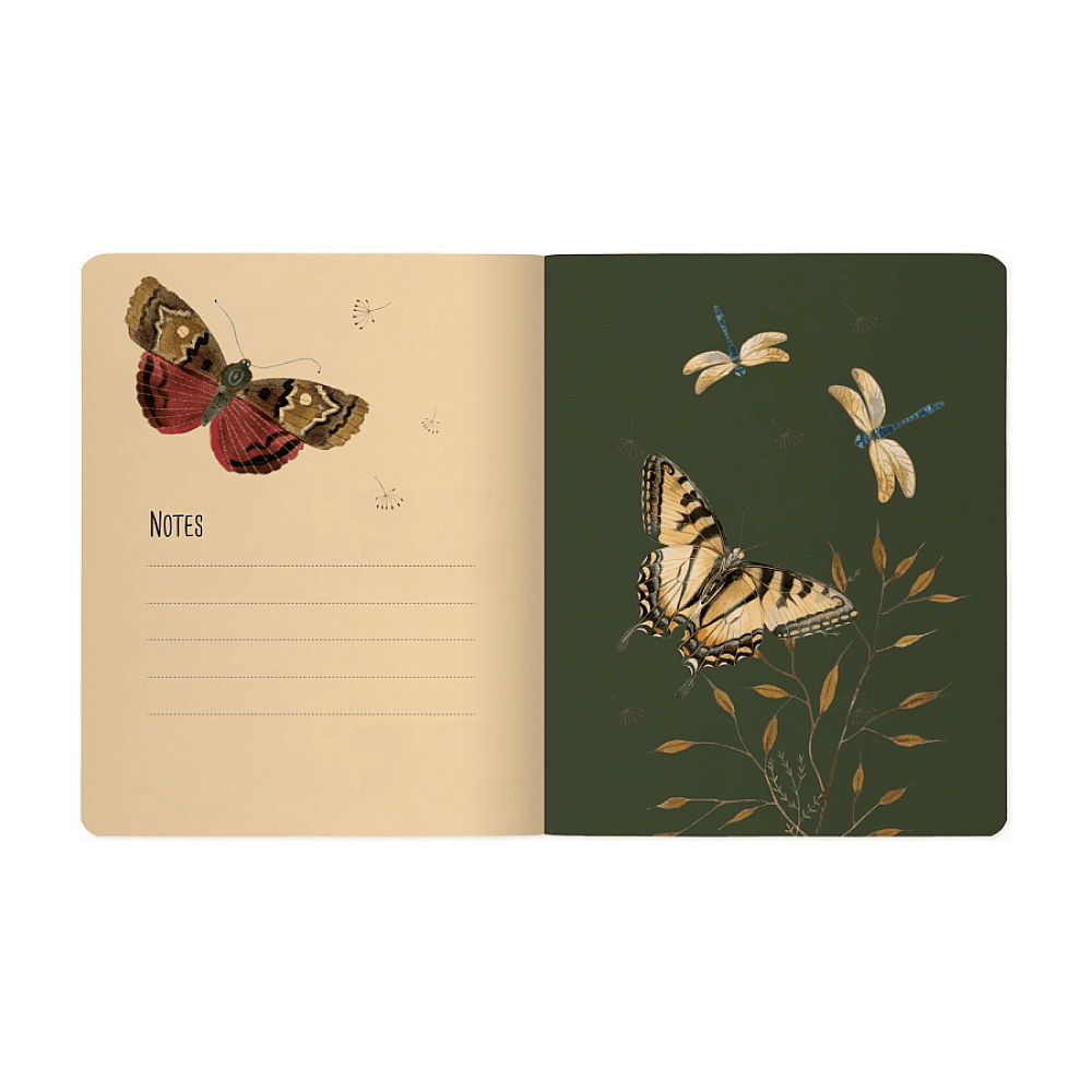 Тетрадь "Fauna. Butterfly", A5, 48 листов, клетка, ассорти - 8