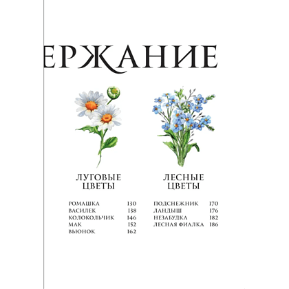 Книга "Цветы в искусстве. Воспевание красоты" - 4 Книга "Цветы в искусстве. Воспевание красоты" - 4