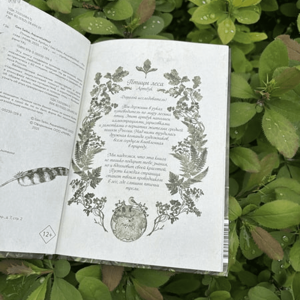 Книга "Птицы леса. Артбук", Geo Saiko, AquarelleWolf - 5